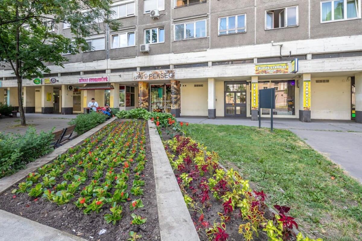 Cozy Quiet Apartment With A Balcony Βουδαπέστη Εξωτερικό φωτογραφία